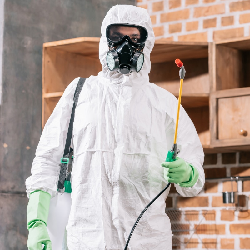 Pest controller in hazmat suit ready to conduct flea control