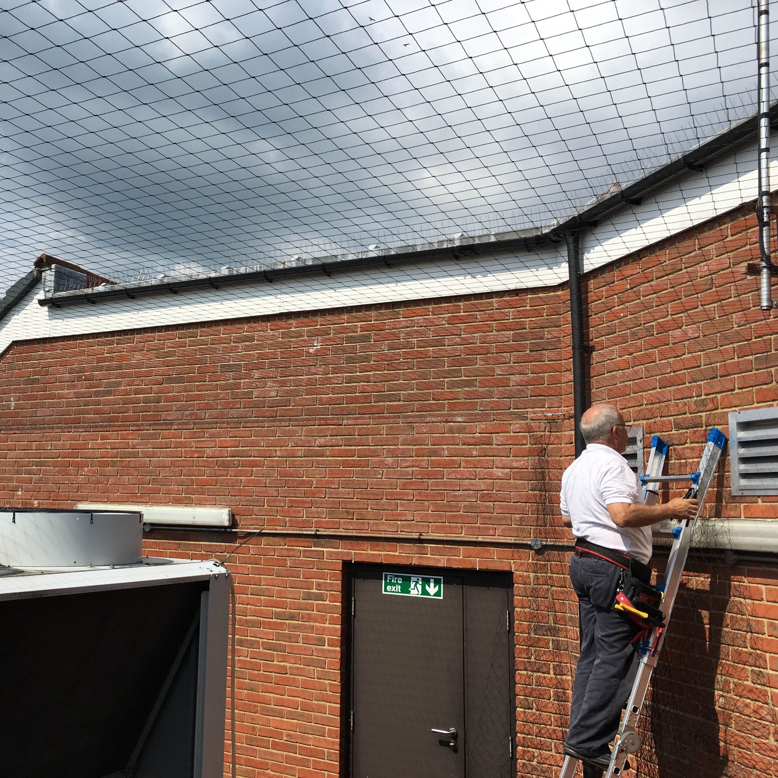 Bird netting installed at a facility in hampshire
