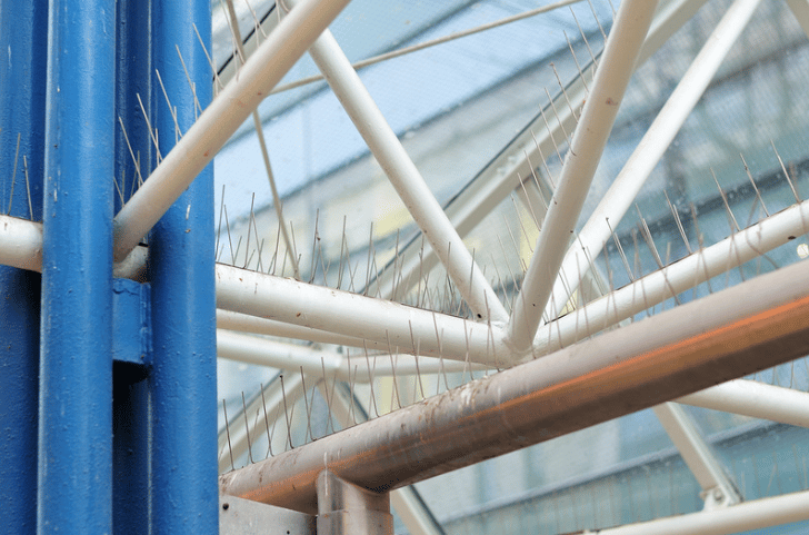 bird spikes used at a shopping centre in Reading