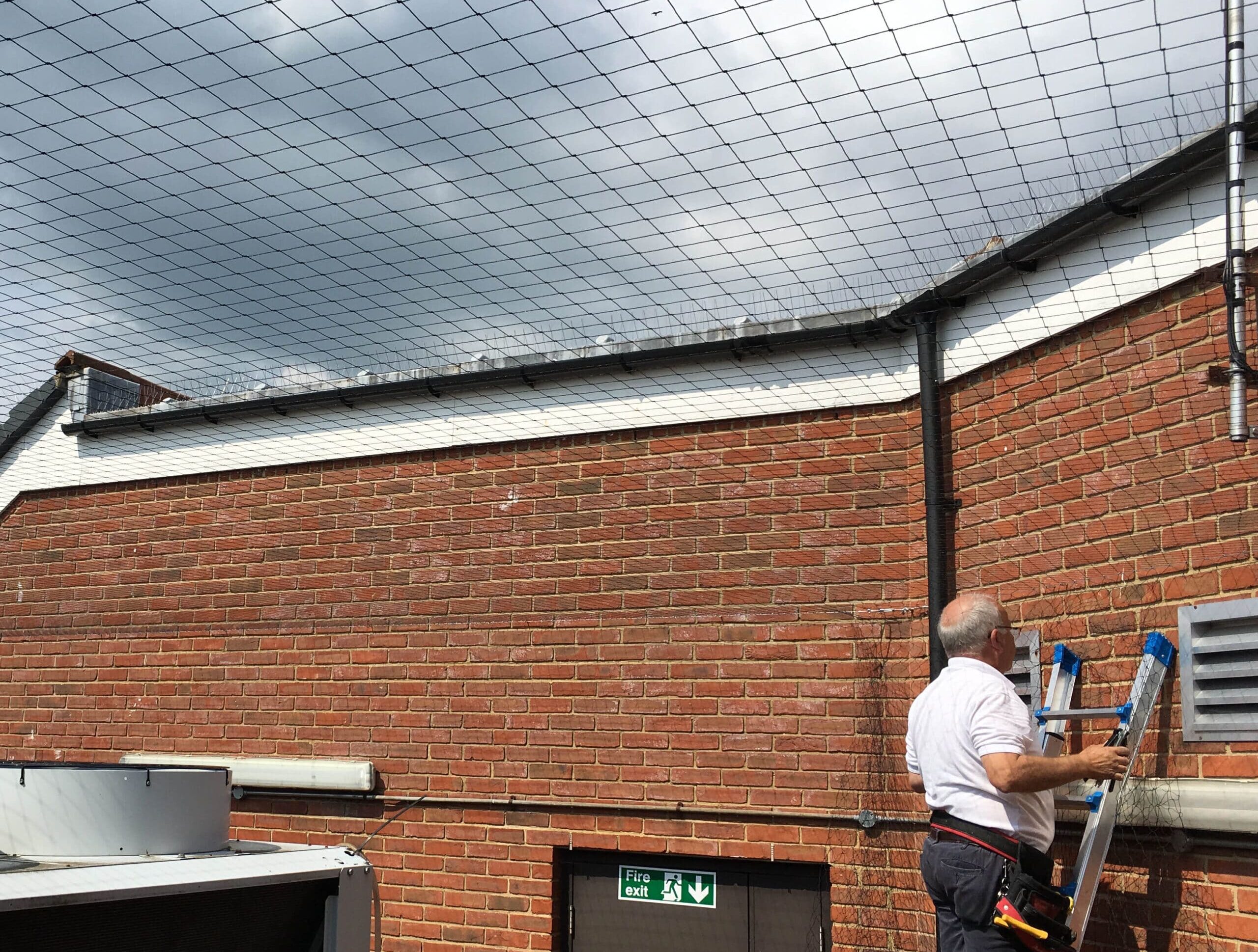 Bird netting installation at commercial property